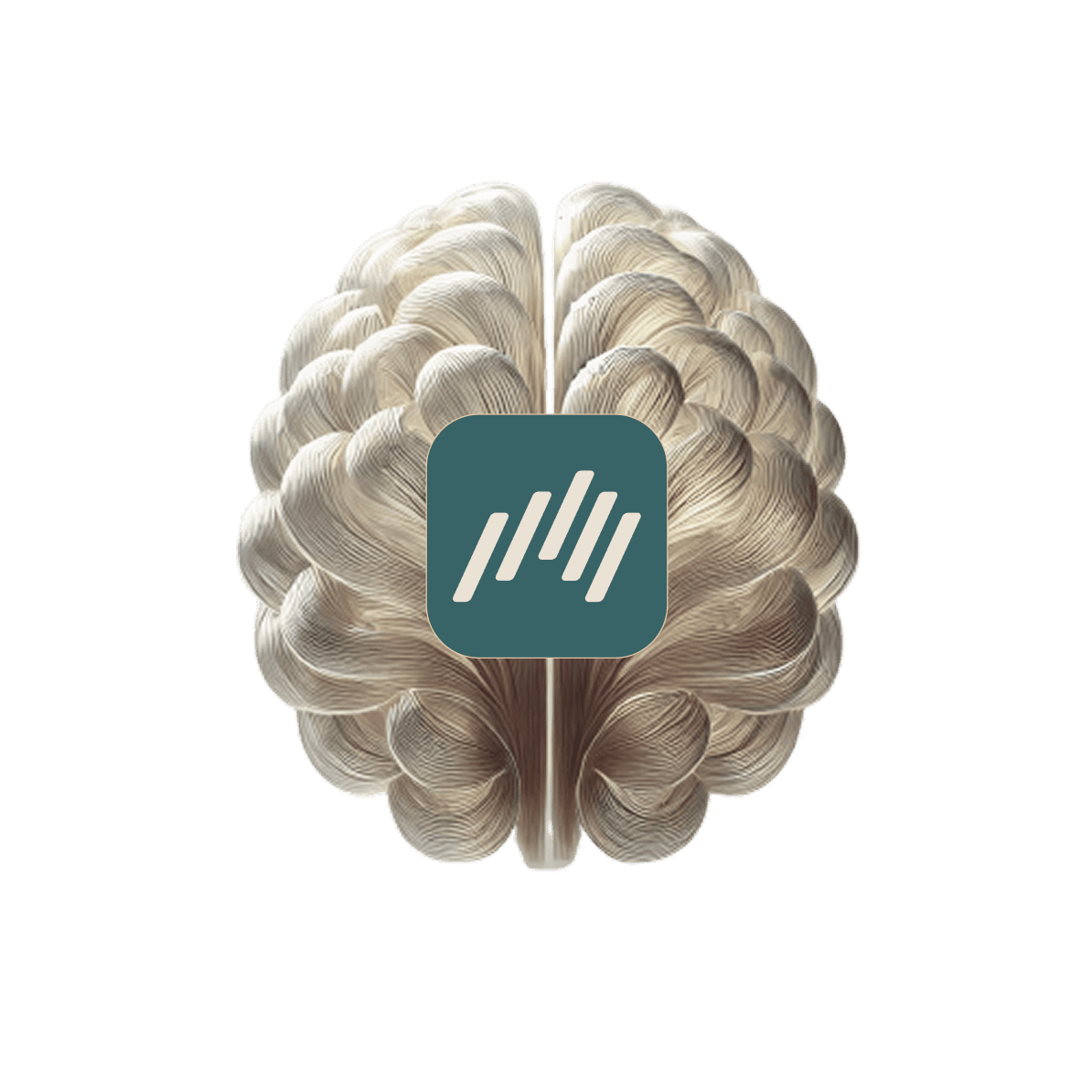 Brain