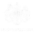 10DS